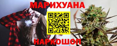 прущие грибы Новозыбков