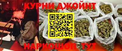 прущие грибы Новозыбков