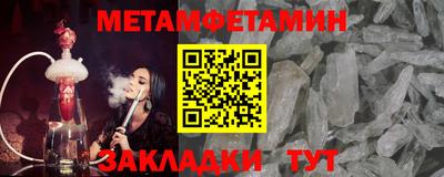 прущие грибы Новозыбков