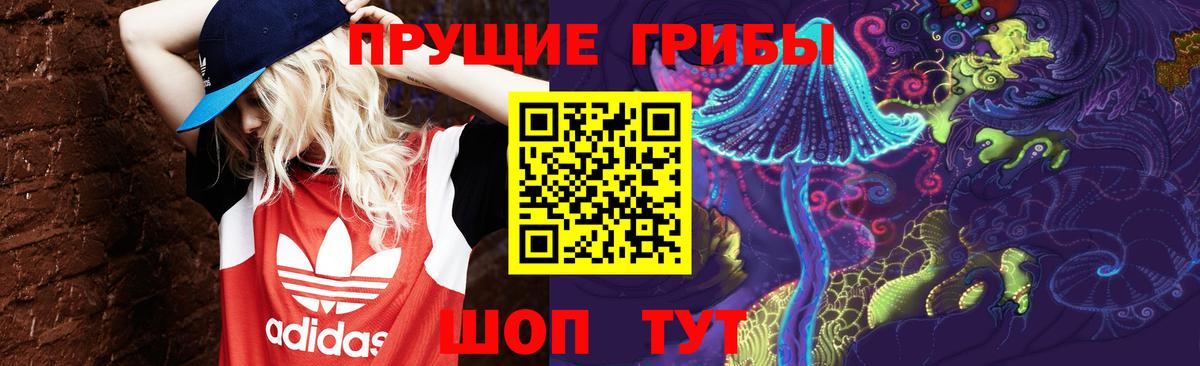 Псилоцибиновые грибы Psilocybine cubensis Советск